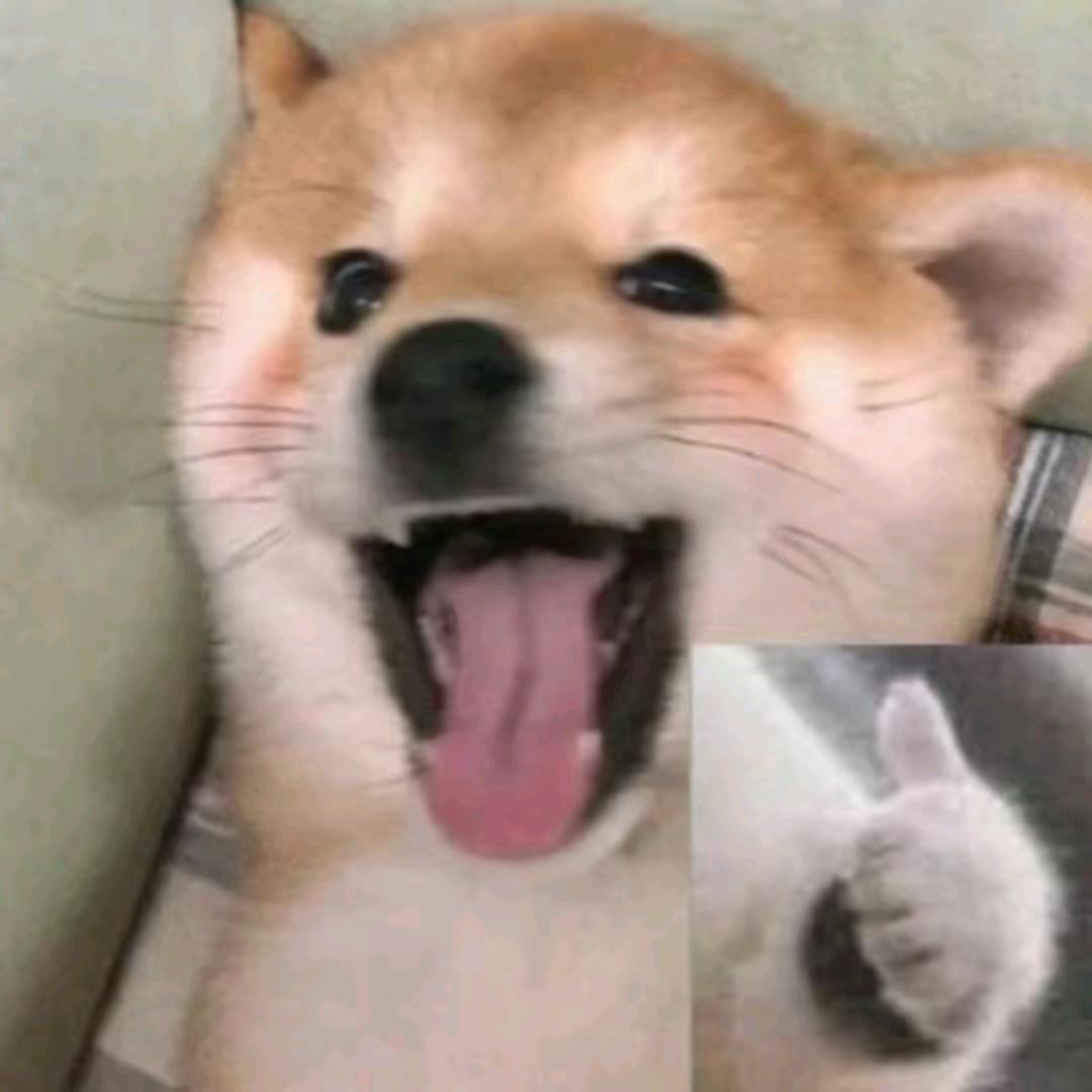 天凉好个秋
