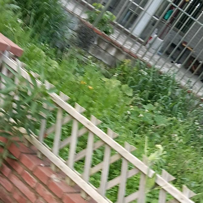挣钱