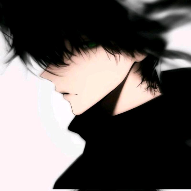 张先生~