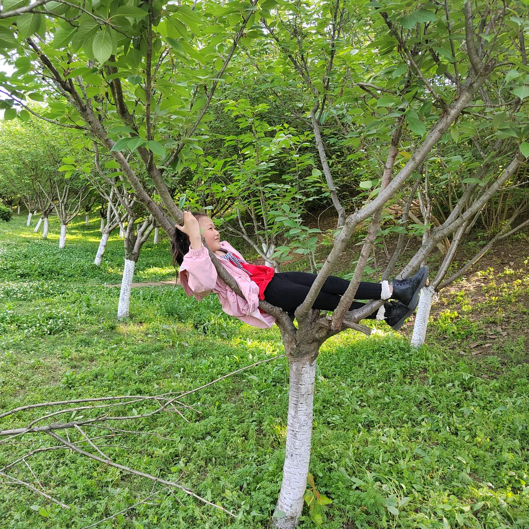 涂如意