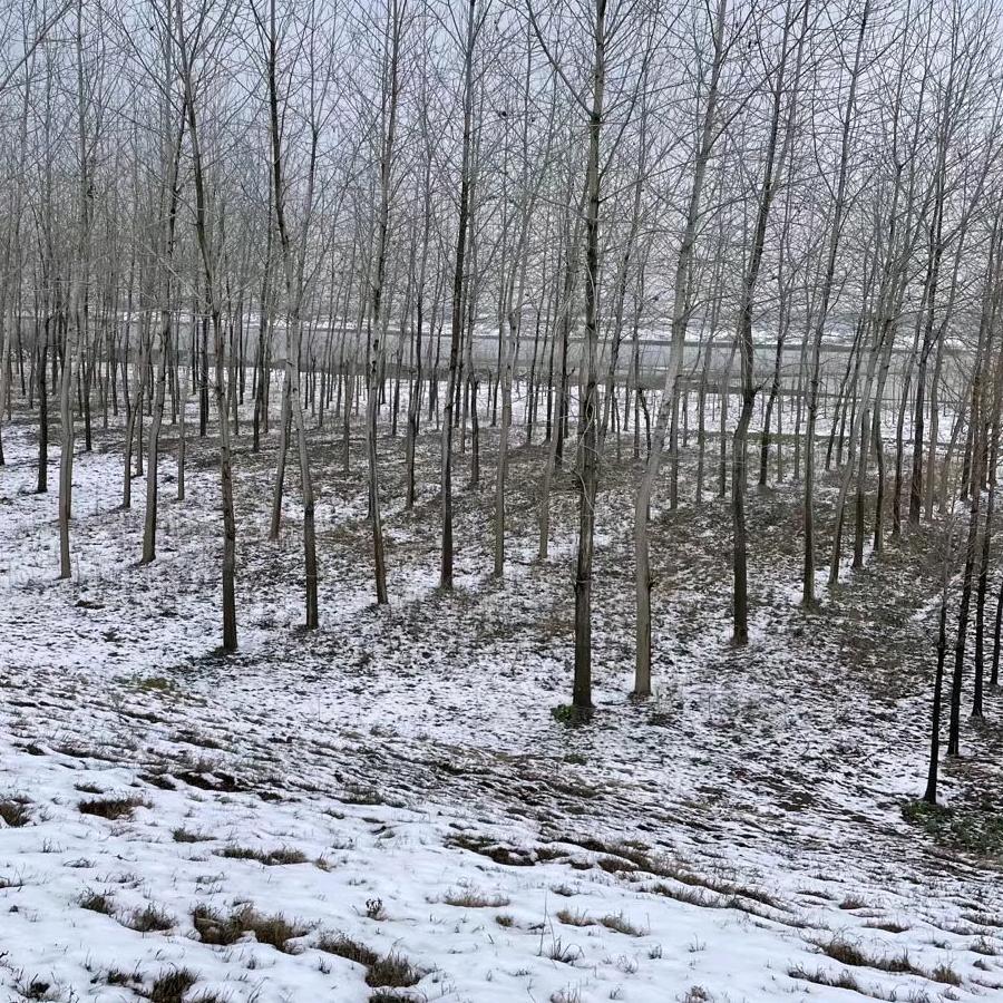 时尚千依大码供应链