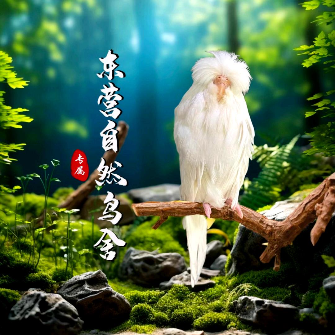 东营自然鸟舍