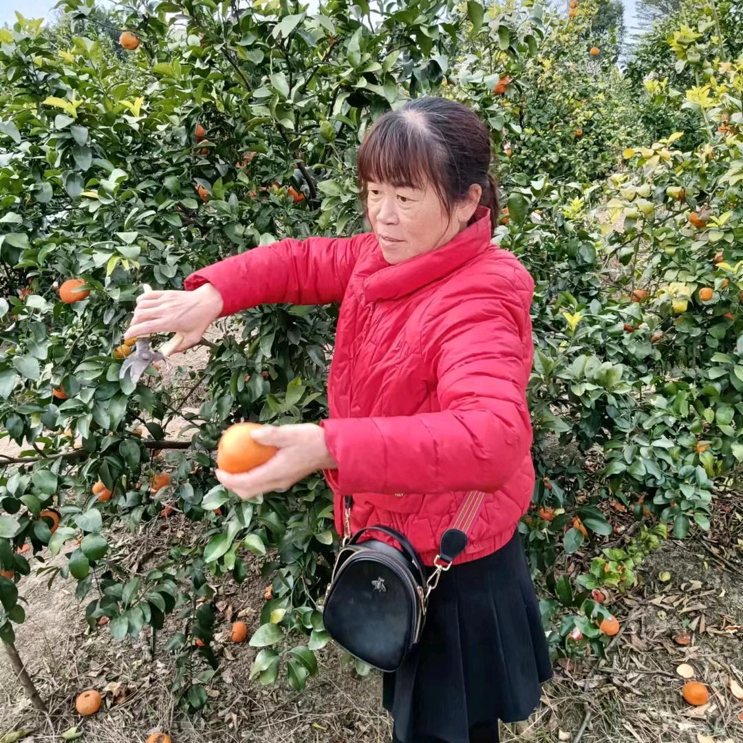 王奶奶