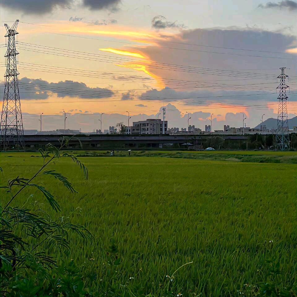 文山阿惠找好房