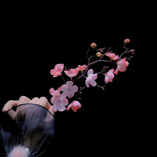 ꧁花开花落梦一场꧂