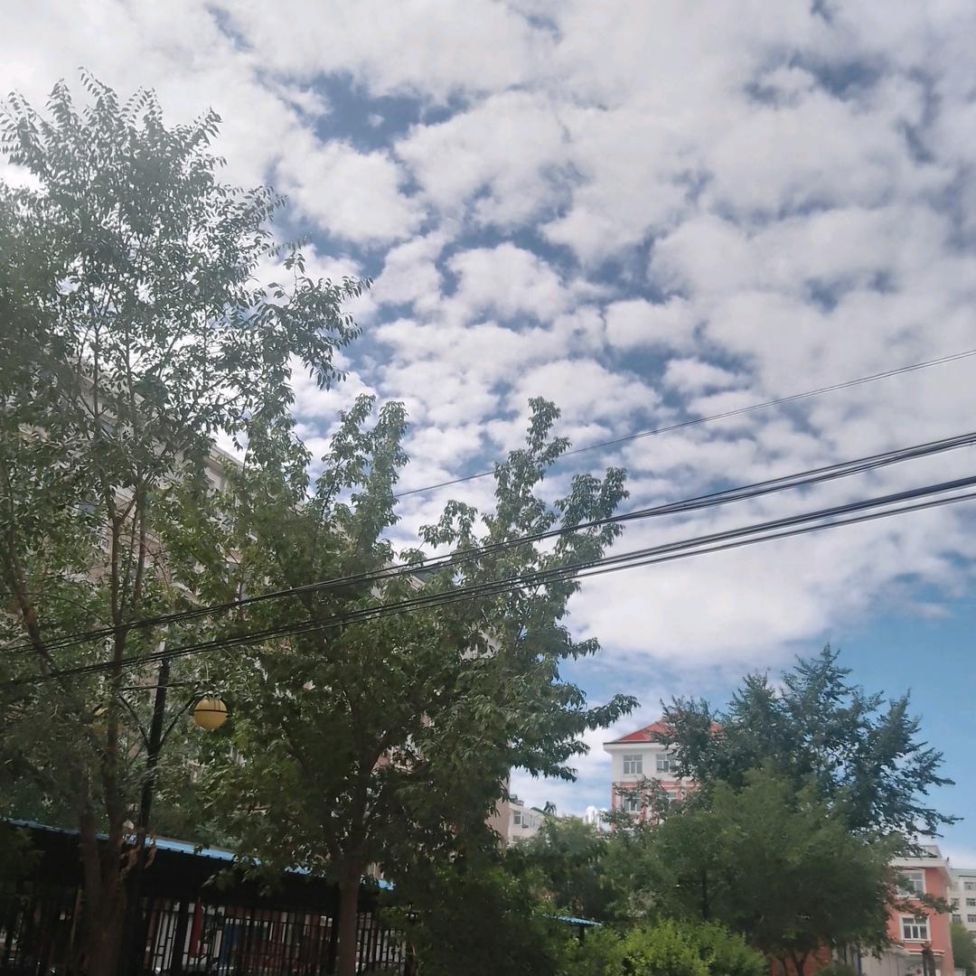 დ᭄ꦿ蔚蓝꧔ꦿ℘⸙