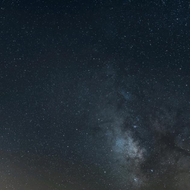 代打电话☎️帮打电话☎️茶岗🍵