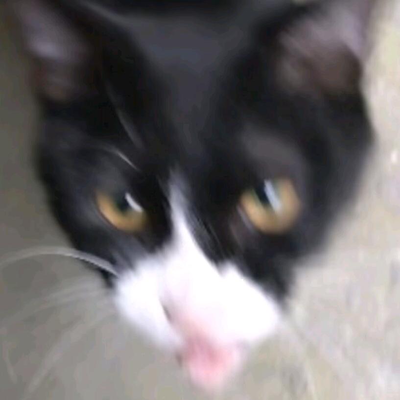 纯欲小妈托雷基亚