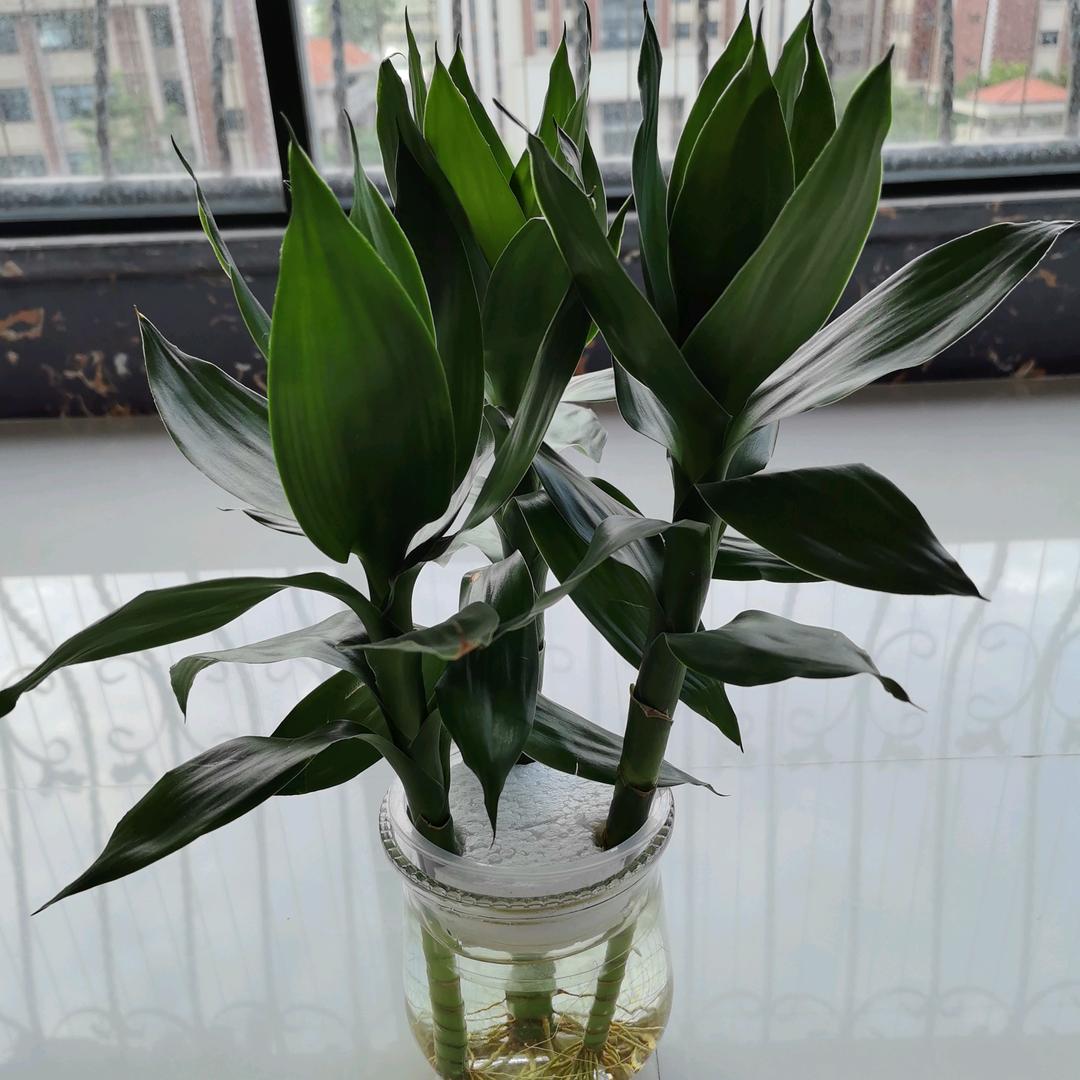 （精挑）每个细节