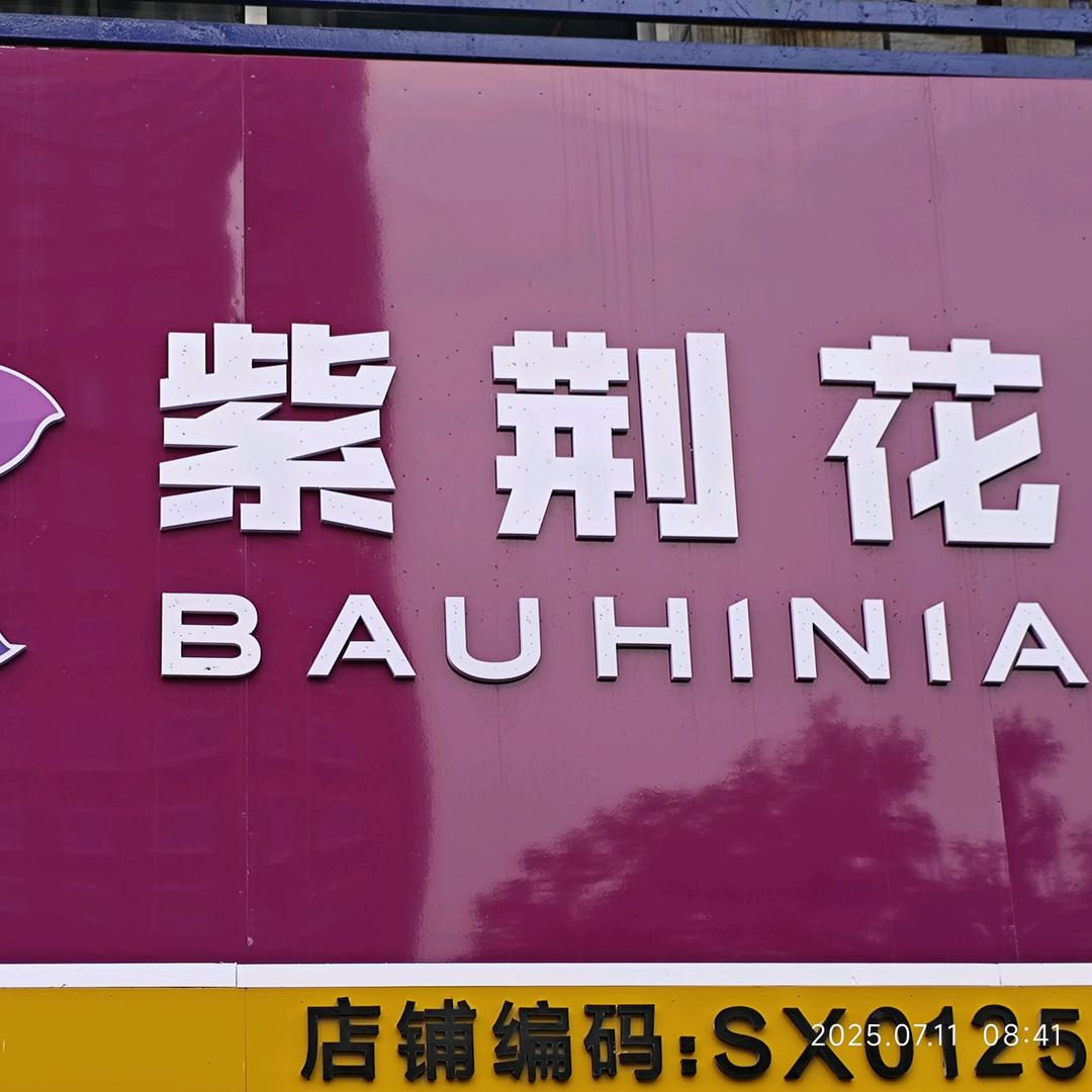 紫荆花艺术漆