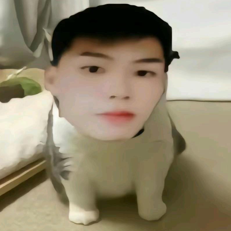 co牢底的小猫