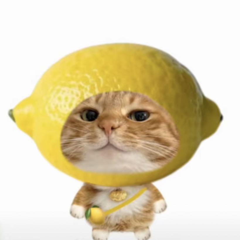 微微不吃鱼🐟