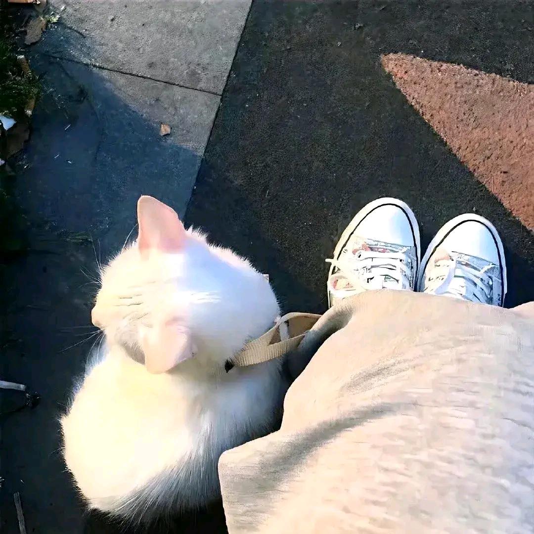 芒果布丁🍓🍅🍔🍟🍿