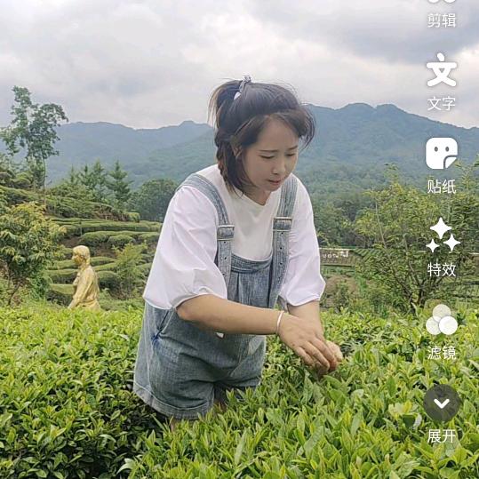 夏夏(从头再来）