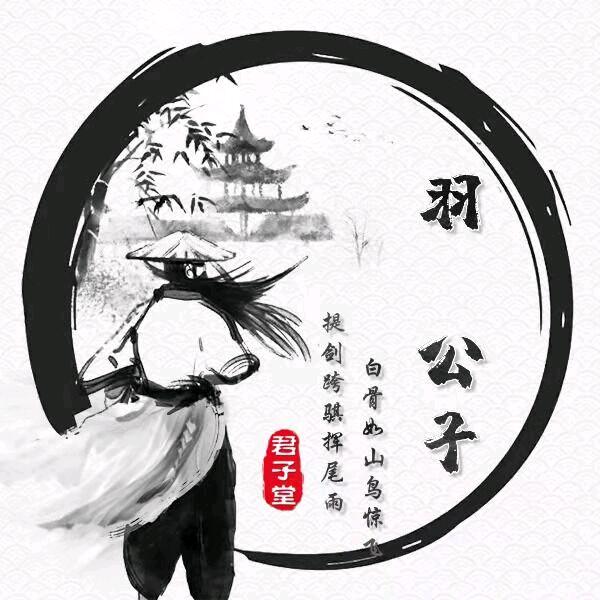 羽公子（翼之影视频）