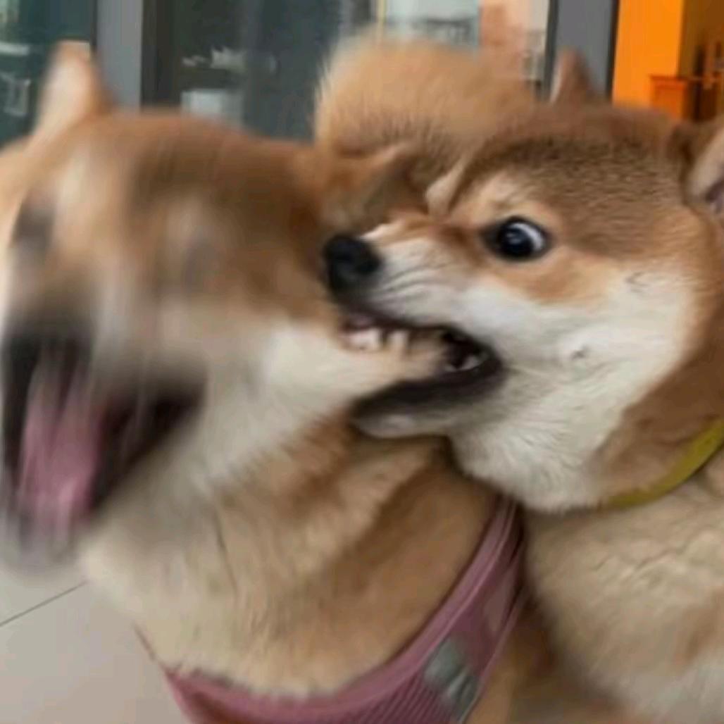 未練
