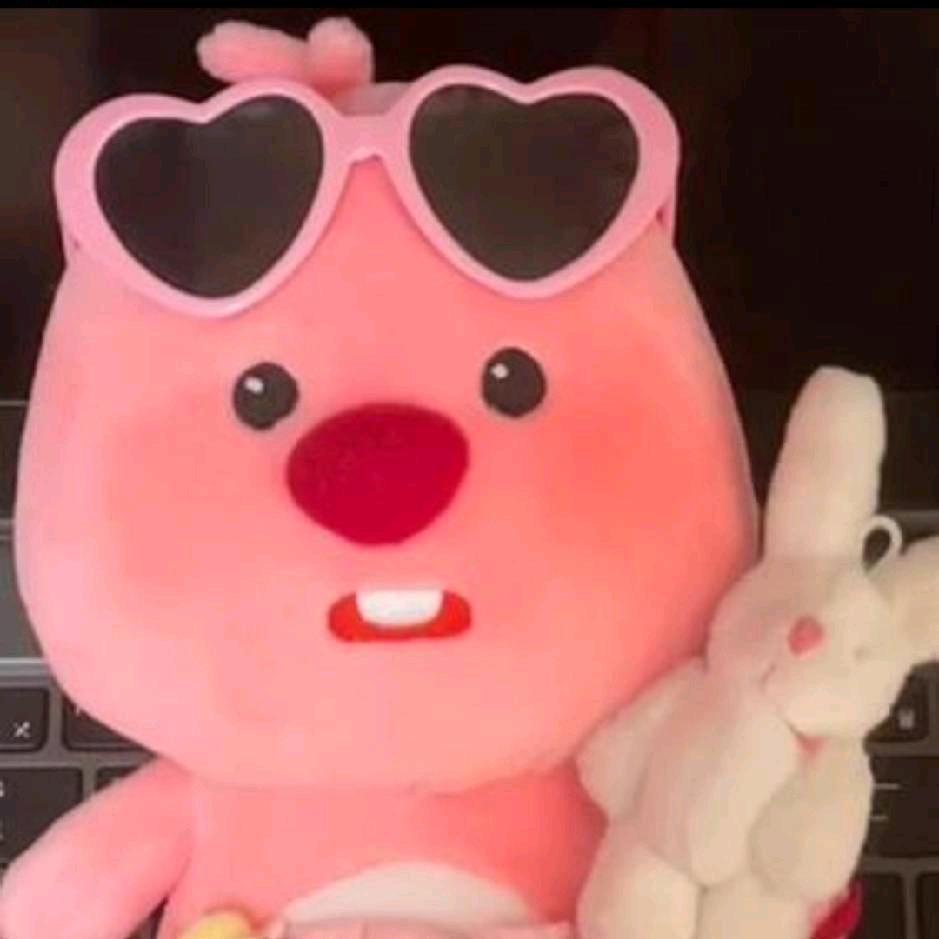 🧸拥抱月亮的星星 ˗ˋˏᰔᩚˎˊ˗