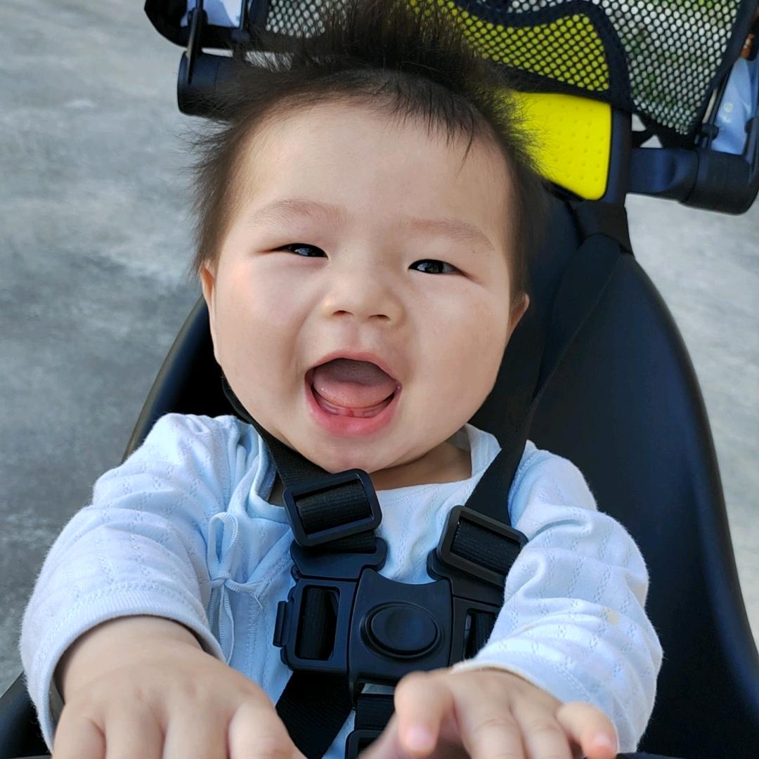 临江仙chen