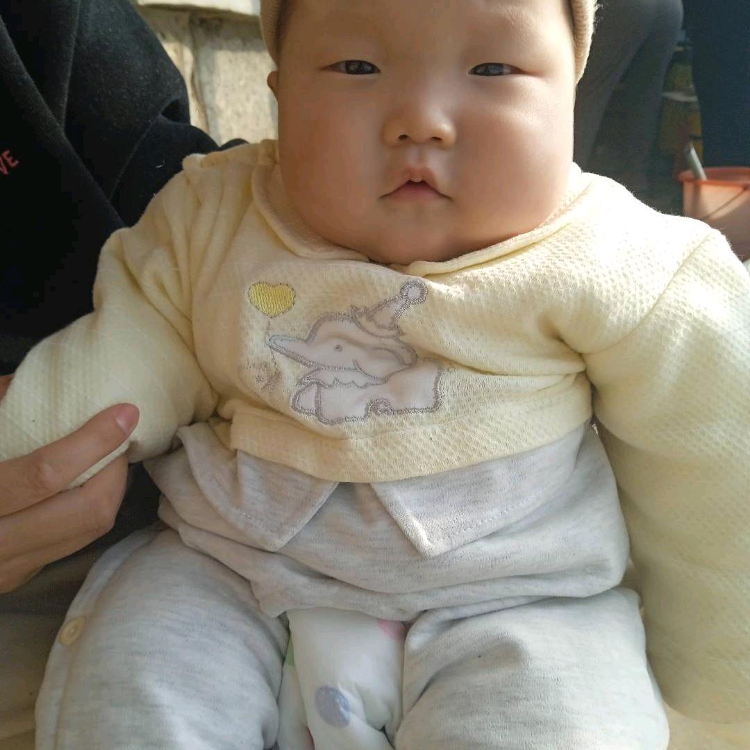 费立提