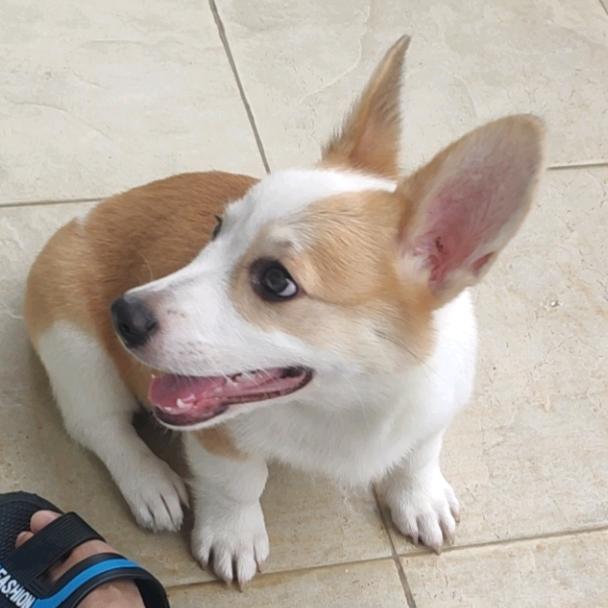 HLH女装创意咨询屋