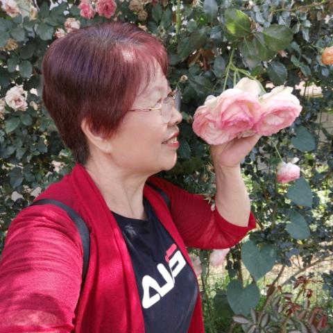 姐妹花