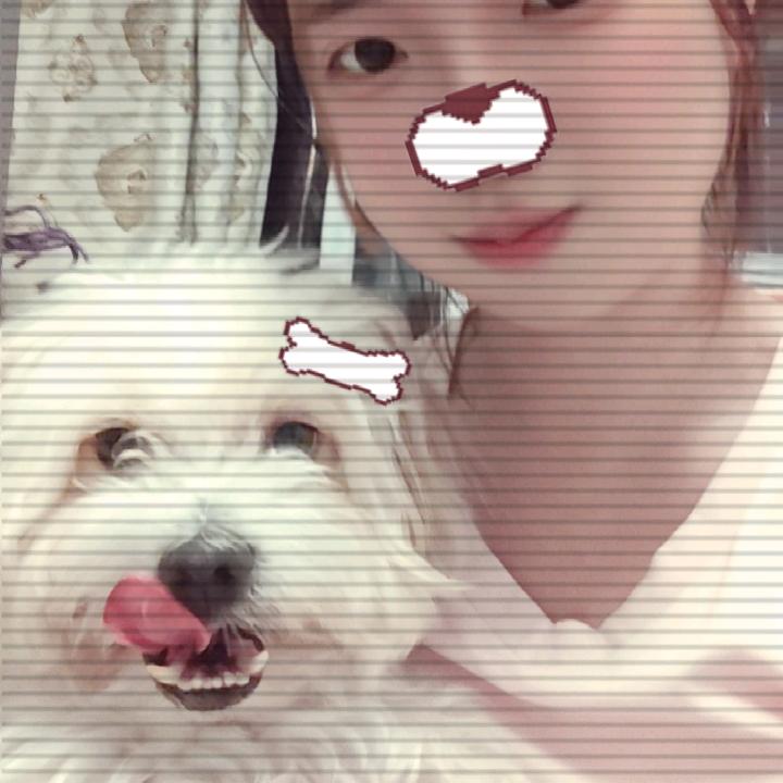 凸凸🐶