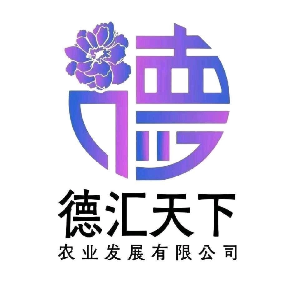 德汇天下-邢丽华