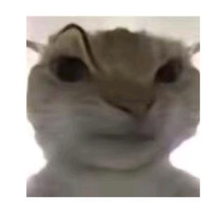 風～～