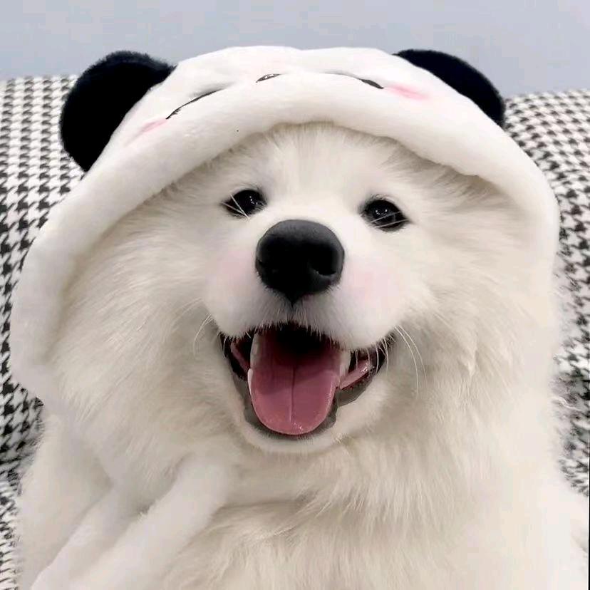 我不是车神