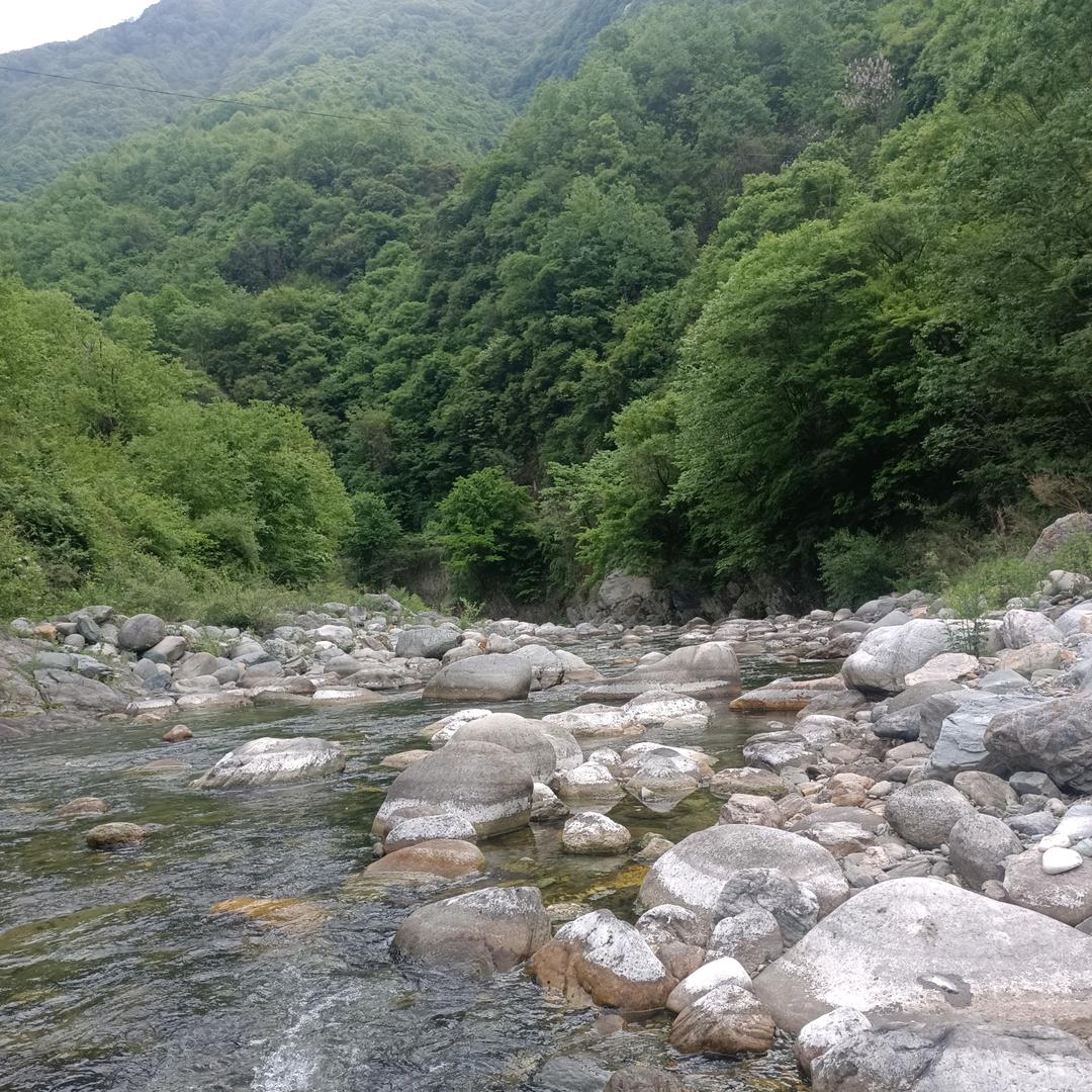 凡尘清心缘