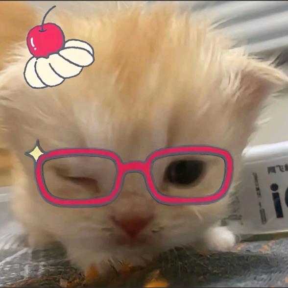 晚灯