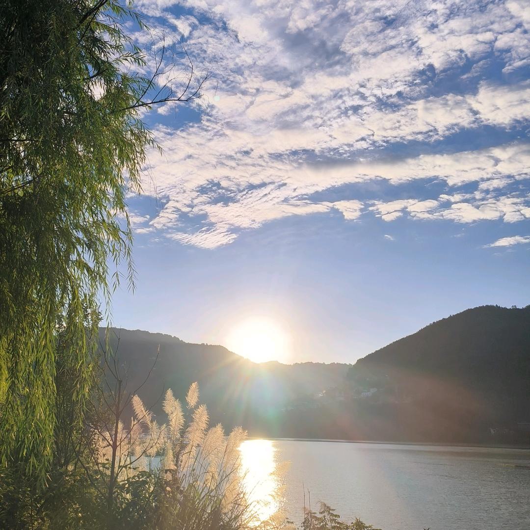 阿香姐鱼香苑纸上烤鱼