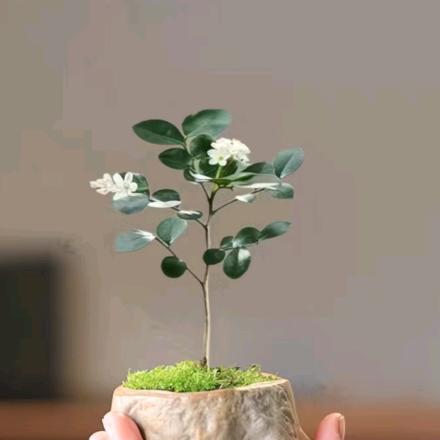 漫长打工路