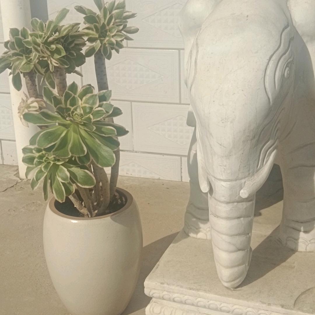 自渡成舟𡿨定制不锈钢厨具，小吃车>