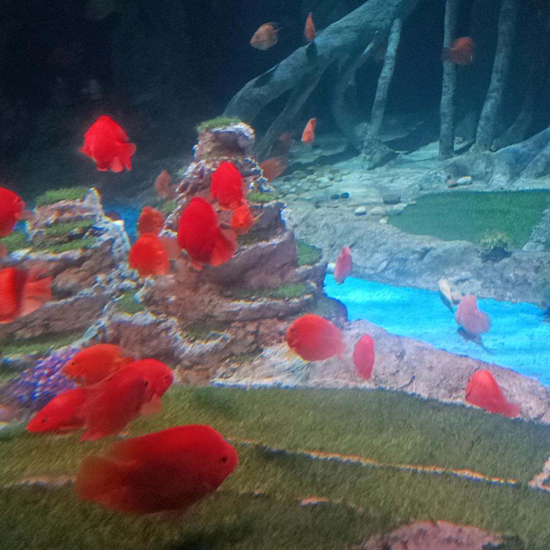 开心快了每一天✌✌✌