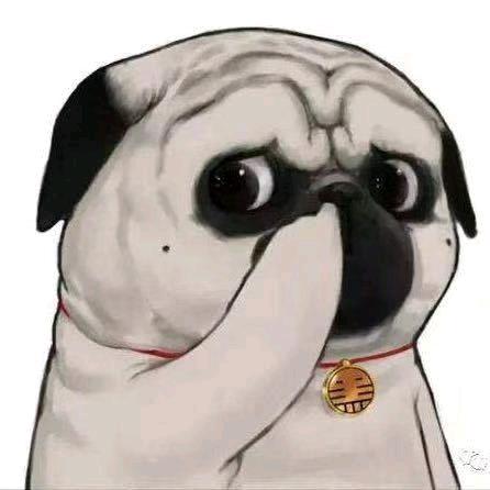 西瓜西瓜🍉🍉🍉🍉