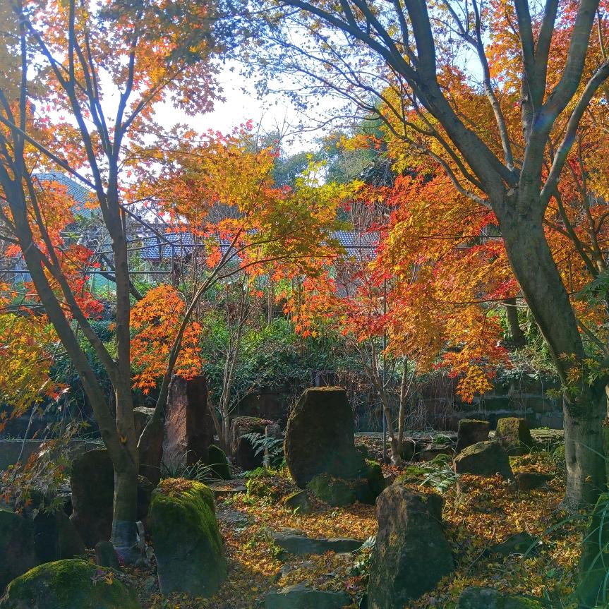 心语者园艺之家