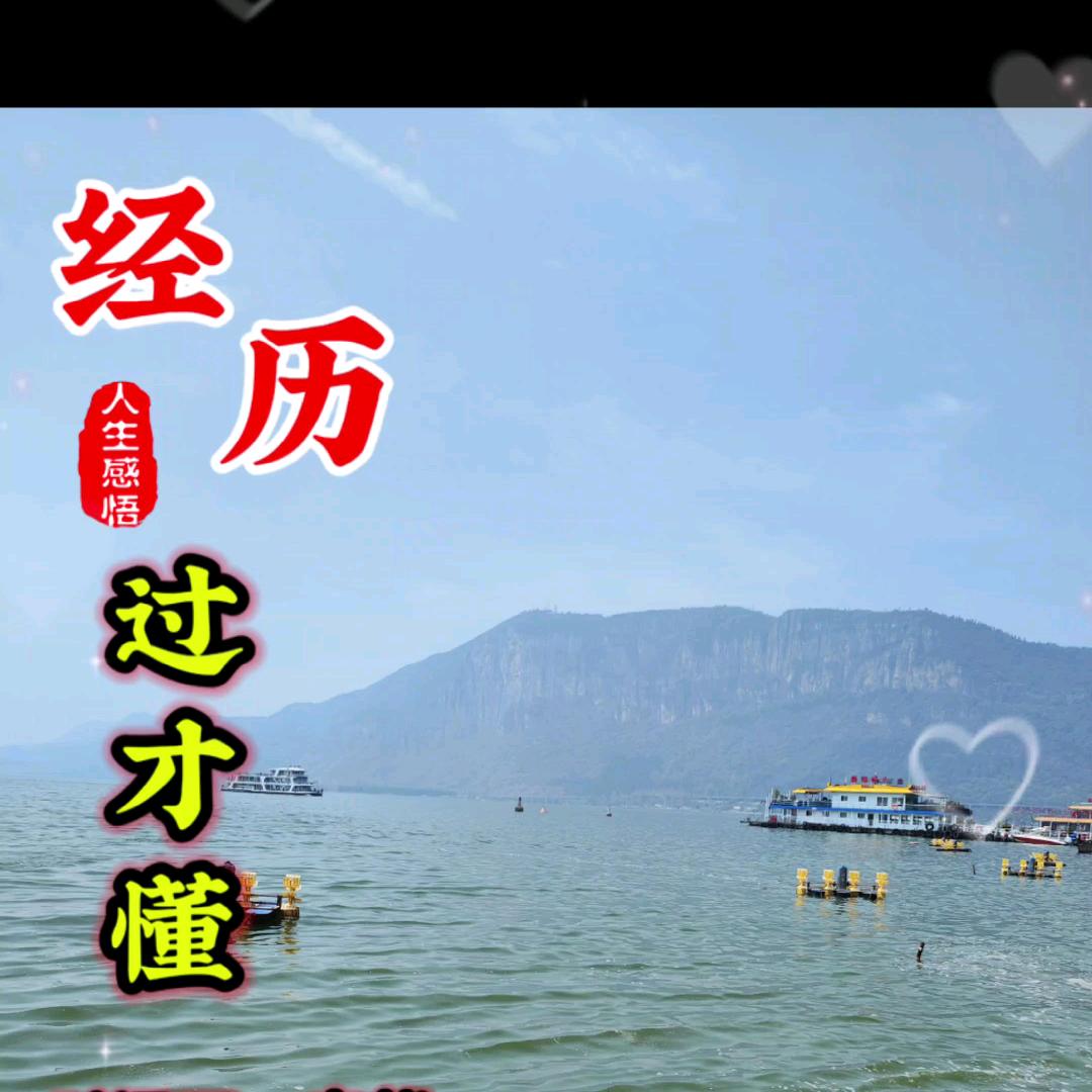 镊盘翻身