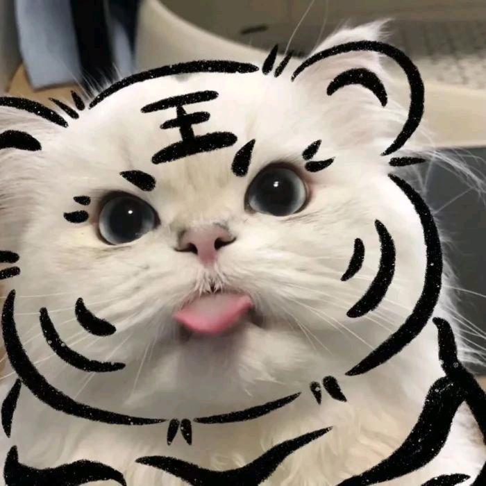 活着就是要娶咪的天