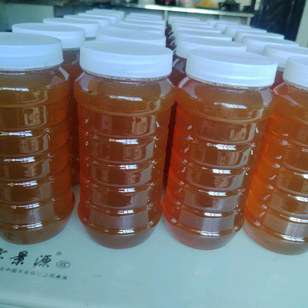 黎不离，我不弃