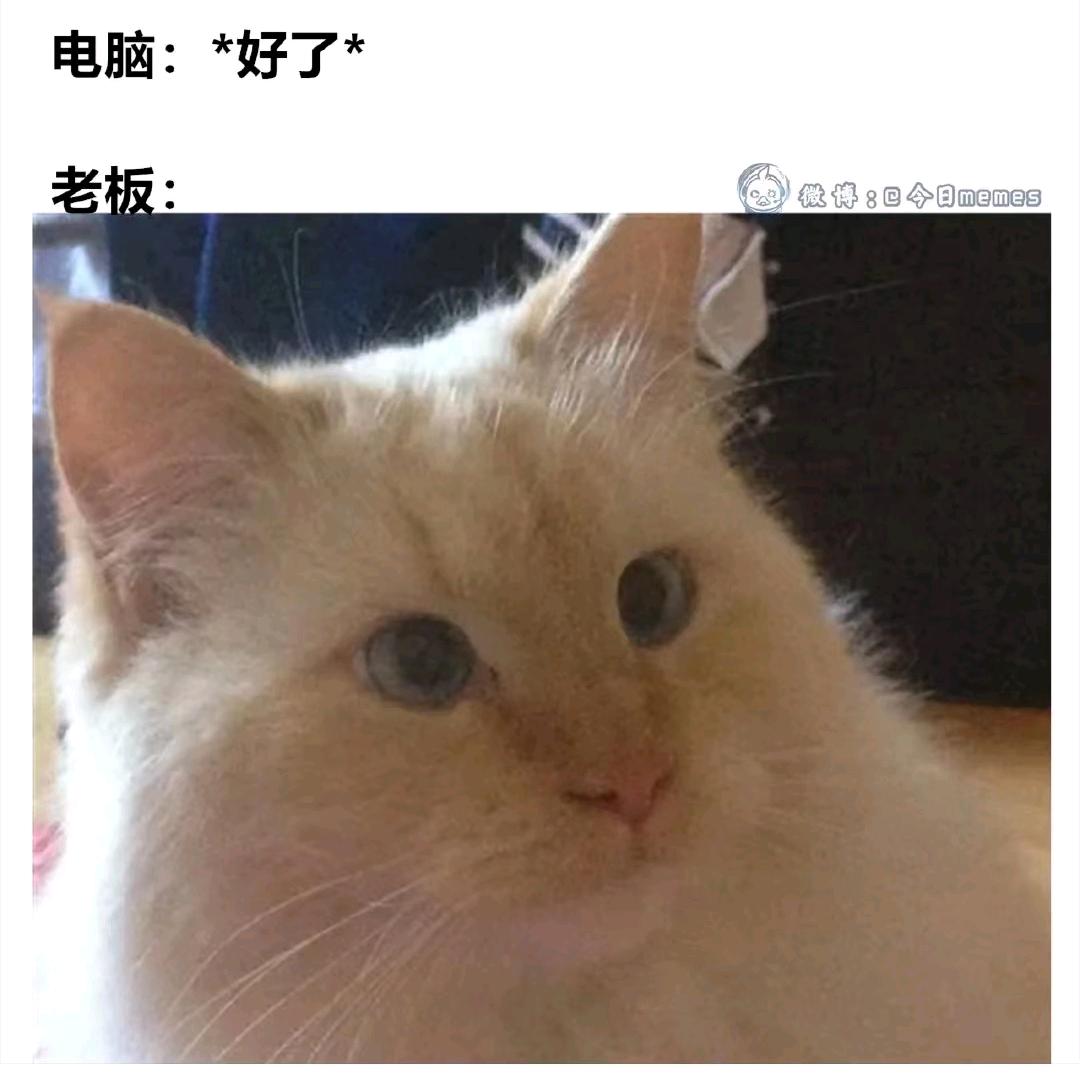 嘚嘚