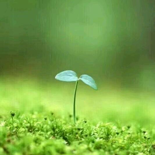 ˚‧*♡ॢ˃̶̤̀余生安好◡˂̶̤́♡