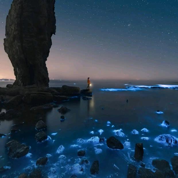 独闯天涯