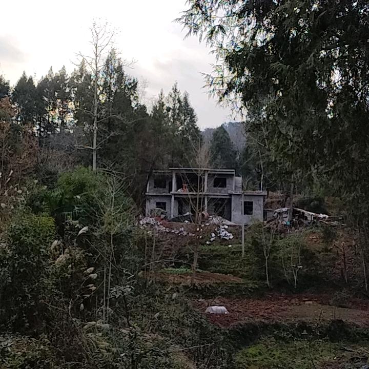 努力奋斗不回头