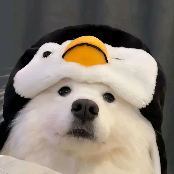 TiAmo.