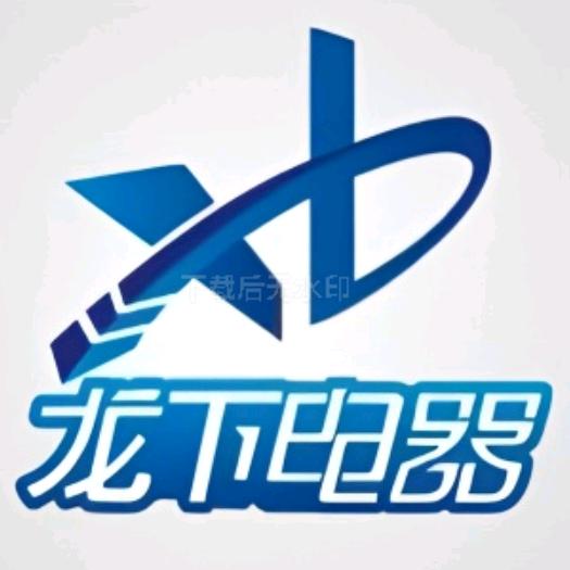 宁波龙下电器-电烙铁