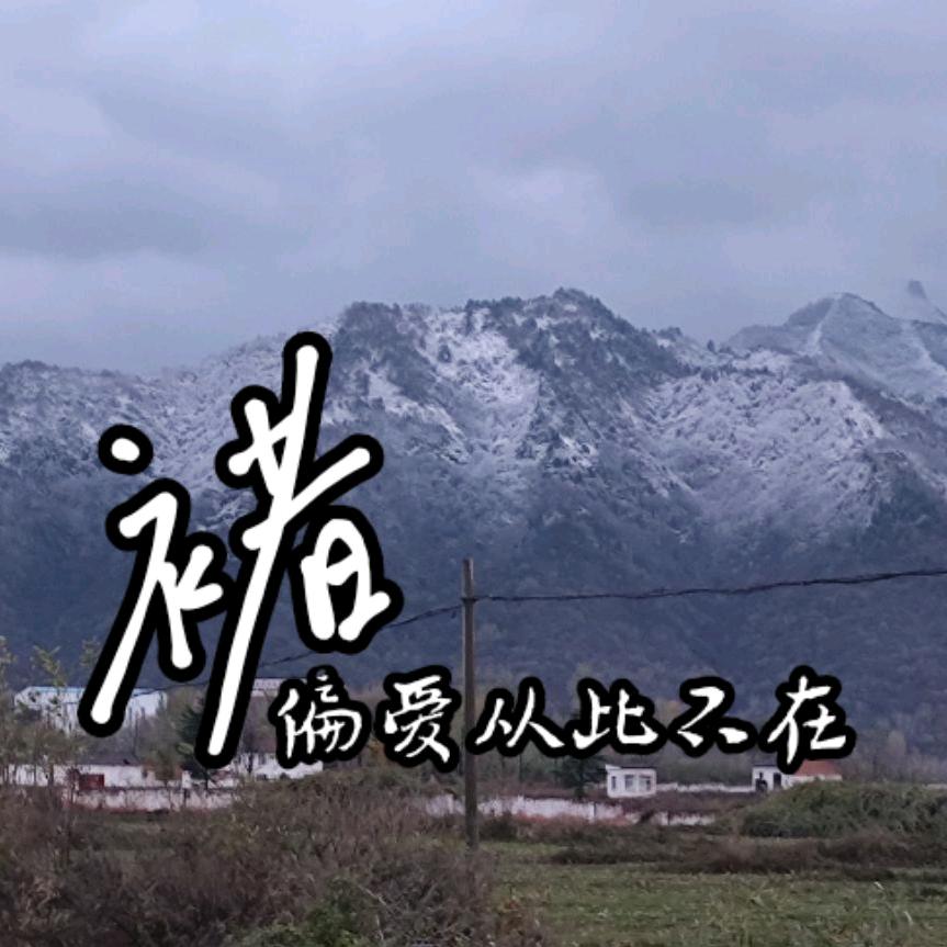 第181秒