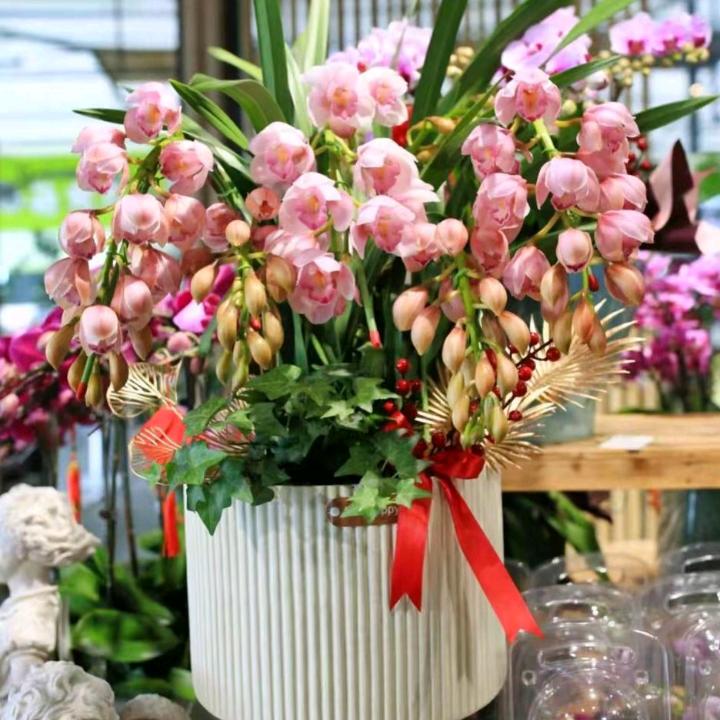 固始县城北玉花花卉市场