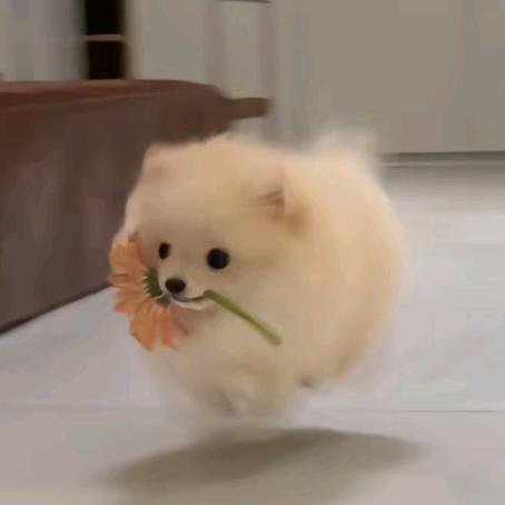 平安喜乐🍀🎊