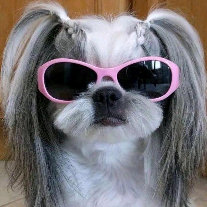 科学家不熬夜QVQ